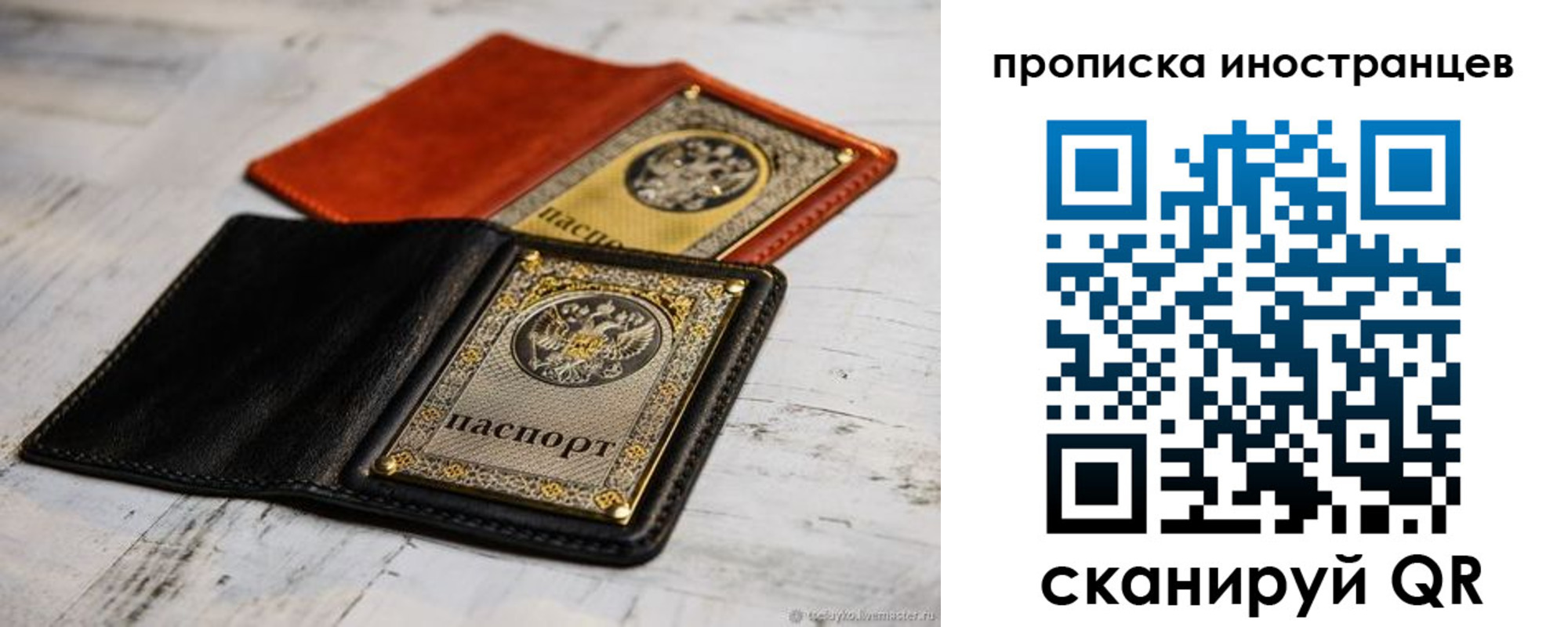 прописка в Ермолино